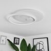 Selim Taklampa LED Vit, 1-ljuskällor, Fjärrkontroll