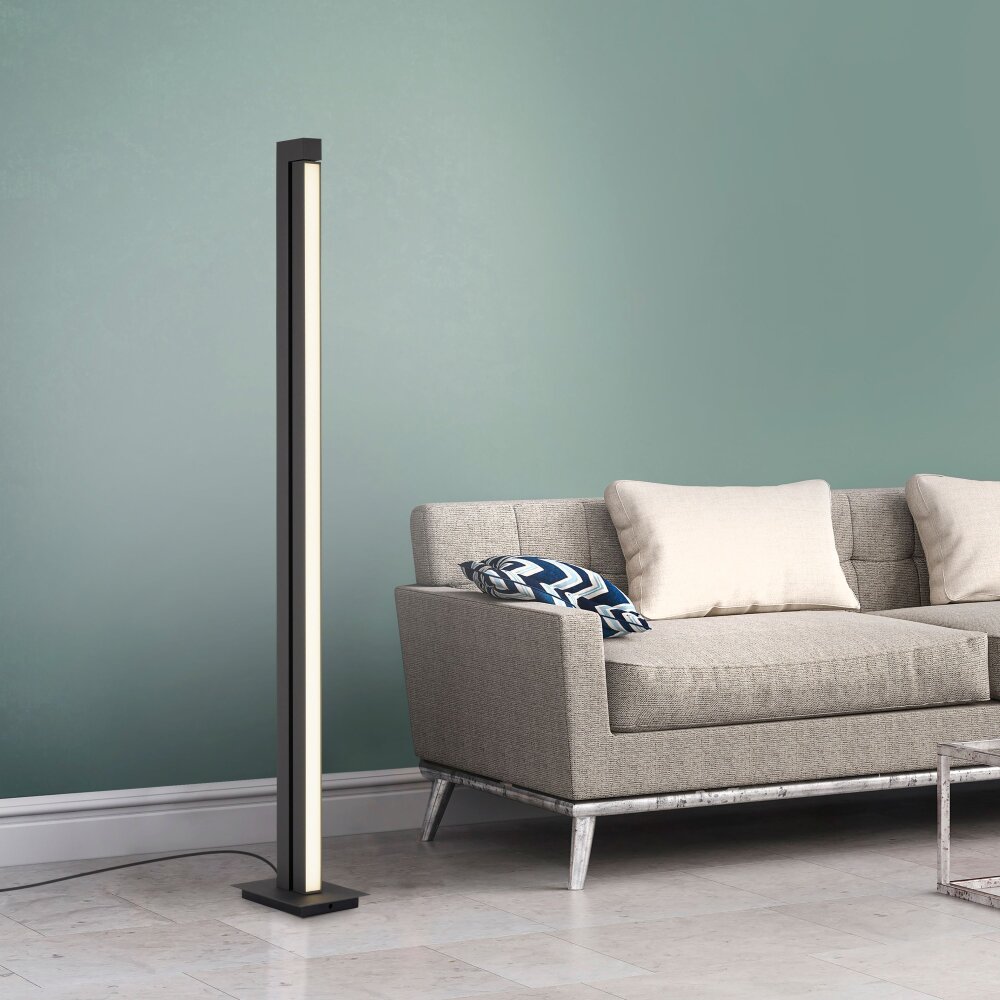 Paul Neuhaus Lampor PURE-LINES Golvlampa, Läslampa LED Antracit, 1-ljuskällor, Fjärrkontroll main product photo