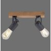 Leuchten Direkt CANOP Taklampa, Takstrålkastare, Vägglampa, Väggspotlight Naturfärger, Svart, 2-ljuskällor