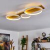 Rodekro Taklampa LED Naturfärger, Vit, 1-ljuskällor