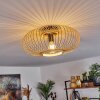 Oravi Taklampa Naturfärger, 1-ljuskällor