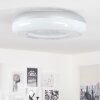 Daphnis Taklampa LED Silver, Vit, 1-ljuskällor, Fjärrkontroll, Färgväxlare