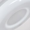 Daphnis Taklampa LED Silver, Vit, 1-ljuskällor, Fjärrkontroll, Färgväxlare