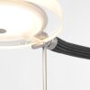 Steinhauer Turound Golvlampa, Läslampa LED Stål borstat, 1-ljuskällor