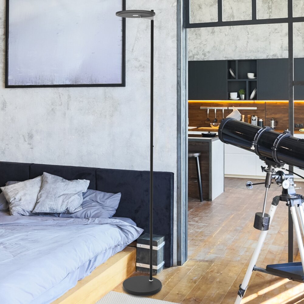 Steinhauer Turound strålkastare, Golvlampa LED Svart, 1-ljuskällor main product photo