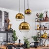 Koyoto Pendellampa 30 cm Guld, Klart, 3-ljuskällor