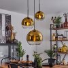 Koyoto Pendellampa 30 cm Guld, Klart, 3-ljuskällor
