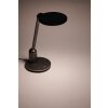 Philips Lampor Einstein Bordslampa, Läslampa LED Grått, 1-ljuskällor