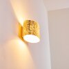 Rapar Vägglampa Krom, Guld, 1-ljuskällor