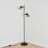 Trajouca Golvlampa, Läslampa Svart, 2-ljuskällor