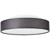 Brilliant Penley Taklampa LED Vit, 1-ljuskällor, Fjärrkontroll