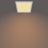 Philips Lampor SceneSwitch Taklampa, Panel LED Vit, 1-ljuskällor