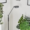 Huallilemu Golvlampa, Läslampa LED Antracit, 1-ljuskällor