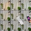 Bakersfield Golvlampa, Läslampa LED Svart, Vit, 1-ljuskällor