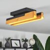 Teira Taklampa LED Naturfärger, Svart, 2-ljuskällor