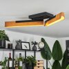 Teira Taklampa LED Naturfärger, Svart, 2-ljuskällor
