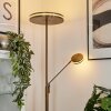 Huallilemu strålkastare, Golvlampa LED Antikmässing, 2-ljuskällor