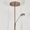 Huallilemu strålkastare, Golvlampa LED Antikmässing, 2-ljuskällor