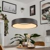 Areja Pendellampa LED Svart, Vit, 1-ljuskällor