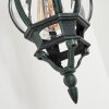 Lentua vägglampa utomhus Grön, Svart, 1-ljuskällor
