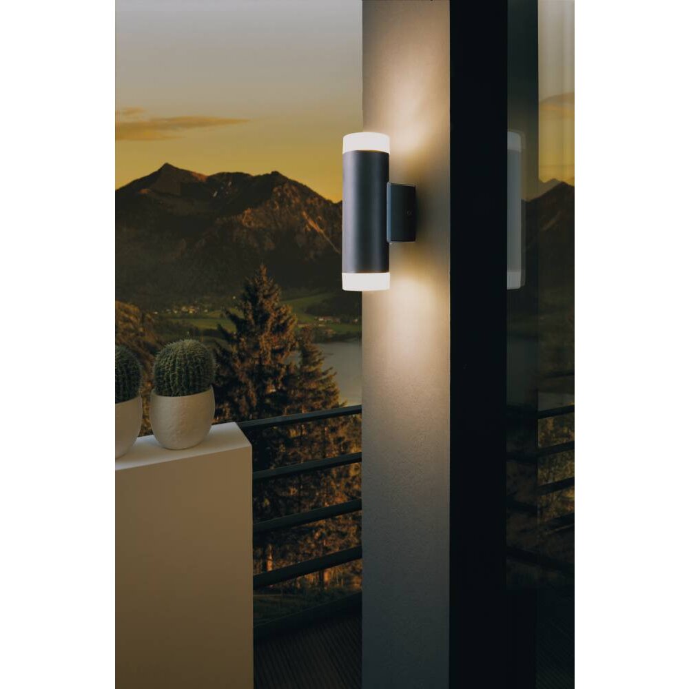 Eglo Lampor RIGA-LED vägglampa utomhus LED Svart, 2-ljuskällor main product photo