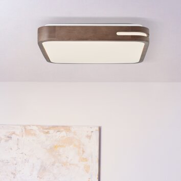 Brilliant Woodbury Taklampa LED Vit, 1-ljuskällor