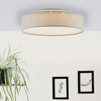 Brilliant Baska Taklampa LED Vit, 1-ljuskällor