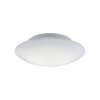 Paul Neuhaus Q-Serie Q-ARKTIS Taklampa LED Vit, 1-ljuskällor, Fjärrkontroll, Färgväxlare