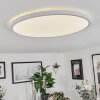 Folgares Taklampa, Panel LED Vit, 1-ljuskällor