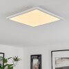 Hortinhas Taklampa, Panel LED Vit, 1-ljuskällor, Fjärrkontroll, Färgväxlare