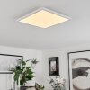 Hortinhas Taklampa, Panel LED Vit, 1-ljuskällor, Fjärrkontroll, Färgväxlare