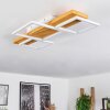 Pompu Taklampa LED Naturfärger, Vit, 1-ljuskällor