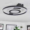 Canhoso Taklampa LED Svart, 1-ljuskällor