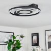 Canhoso Taklampa LED Svart, 1-ljuskällor