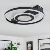 Canhoso Taklampa LED Svart, 1-ljuskällor