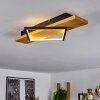 Pompu Taklampa LED Naturfärger, Svart, 1-ljuskällor