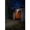 Ledvance ENDURA® Fasad spotlight, Spotlight trädgård LED Vit, 1-ljuskällor, Rörelsedetektor
