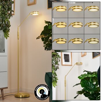 Huallilemu Golvlampa, Läslampa LED Klart, Mässing, Vit, 1-ljuskällor Huallilemu Golvlampa, Läslampa LED Klart, Mässing, Vit, 1-ljuskällor