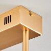 Gora Taklampa LED Mässing, 3-ljuskällor Gora Taklampa LED Mässing, 3-ljuskällor