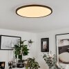 Hortinhas Taklampa, Panel LED Svart, 1-ljuskällor, Fjärrkontroll, Färgväxlare