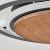 Kassambene Taklampa LED Antracit, Naturfärger, 1-ljuskällor
