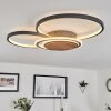 Kassambene Taklampa LED Antracit, Naturfärger, 1-ljuskällor