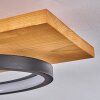 Pompu Taklampa LED Naturfärger, Svart, 1-ljuskällor