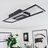 Vaseux Taklampa LED Svart, Vit, 1-ljuskällor