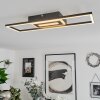 Vaseux Taklampa LED Svart, Vit, 1-ljuskällor