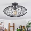 Banleou Taklampa Svart, 1-ljuskällor