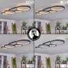 Rodekro Taklampa LED Svart, Vit, 1-ljuskällor