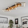 Lomnion Taklampa LED Naturfärger, Svart, 1-ljuskällor