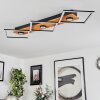 Lomnion Taklampa LED Naturfärger, Svart, 1-ljuskällor
