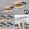 Rodekro Taklampa LED Svart, Silver, 1-ljuskällor
